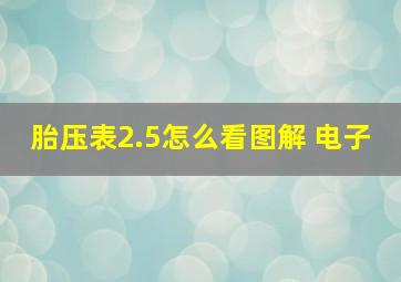 胎压表2.5怎么看图解 电子